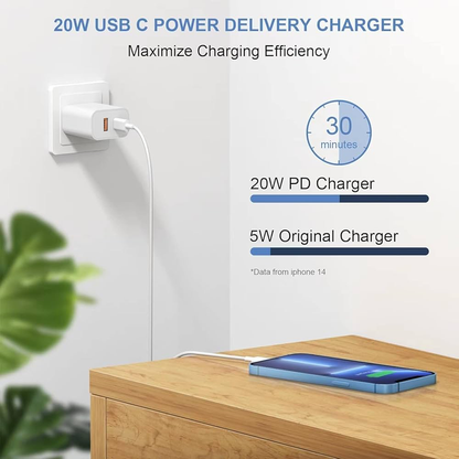 2-in-1 Plug (Type-C + USB) + Type-C to Lightning Cable